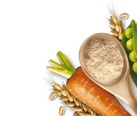 Ingredients_Footer