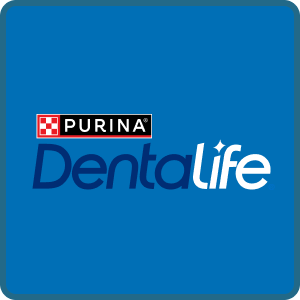 Dentalife