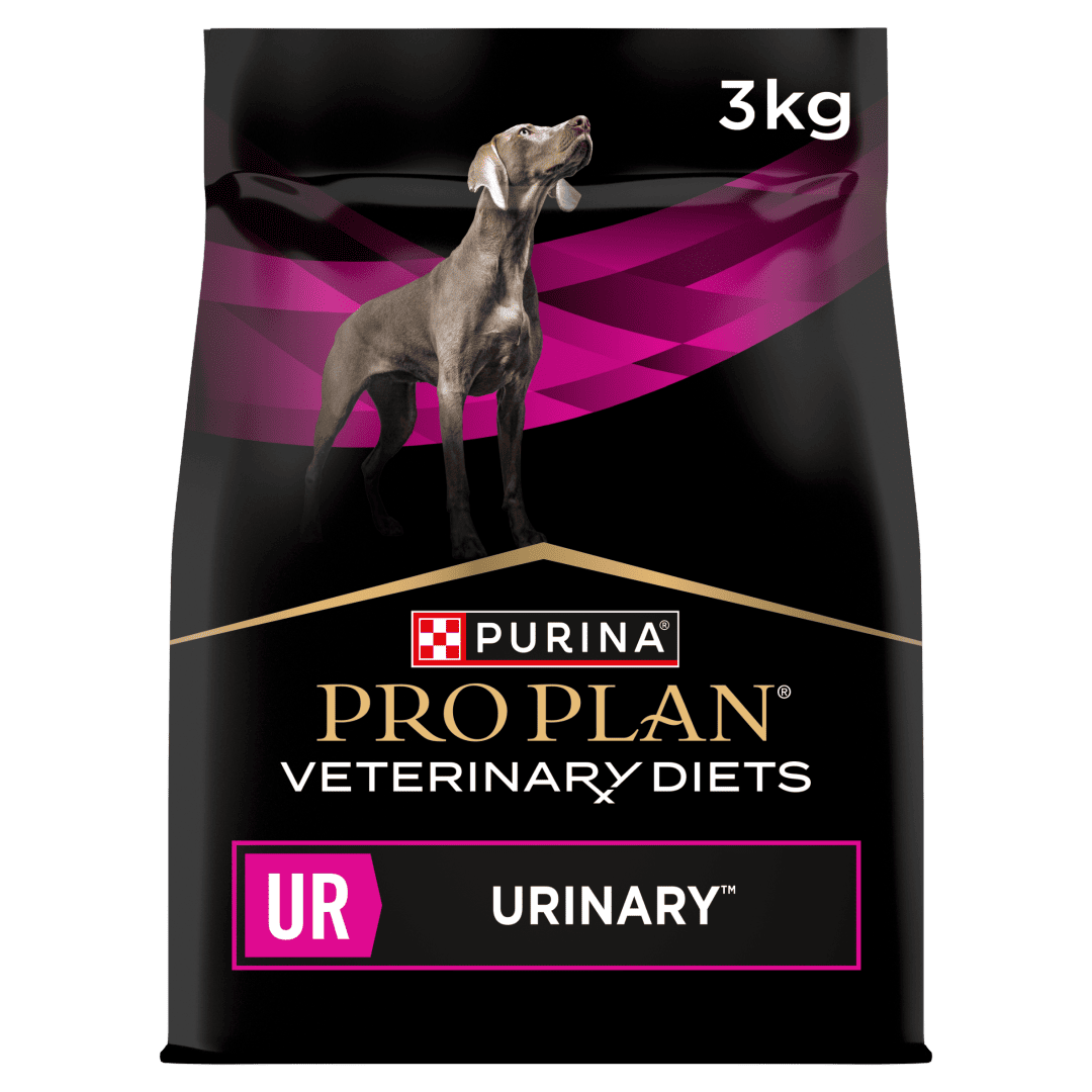 PurinaPro Plan Veterinary Diets UR 1kg×4 PPVD® UR Urinary Dog Food | Purina UK