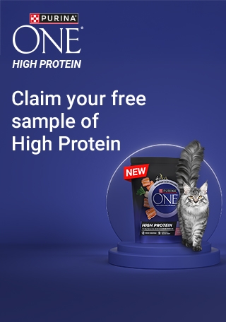  PURINA ONE - High Protein Web Banner - Mobile