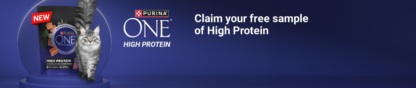  PURINA ONE - High Protein Web Banner - Desktop