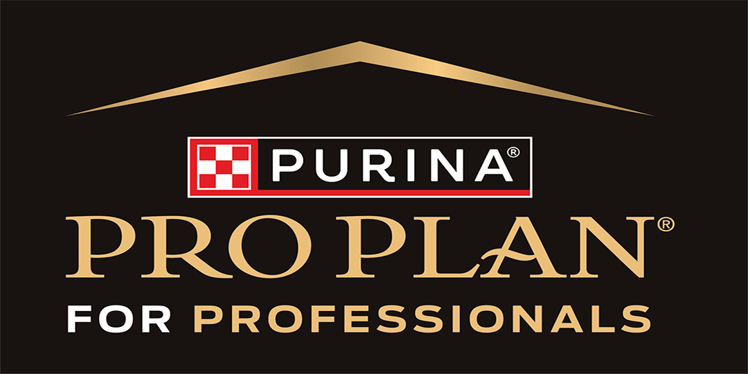 PRO PLAN for Professionals