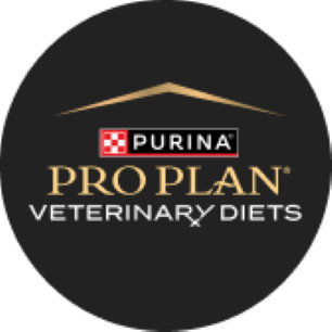 PPVD square new logo