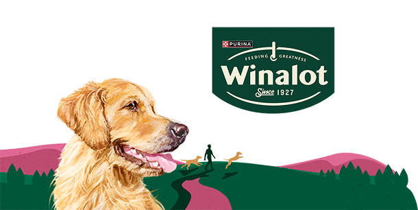 winalot