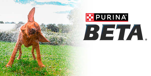 beta