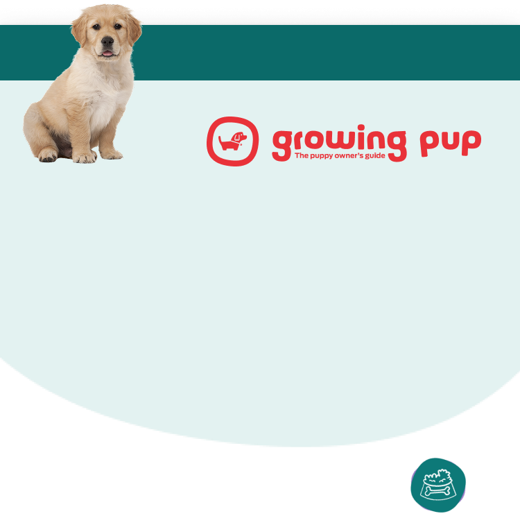 Growing Pup mobile