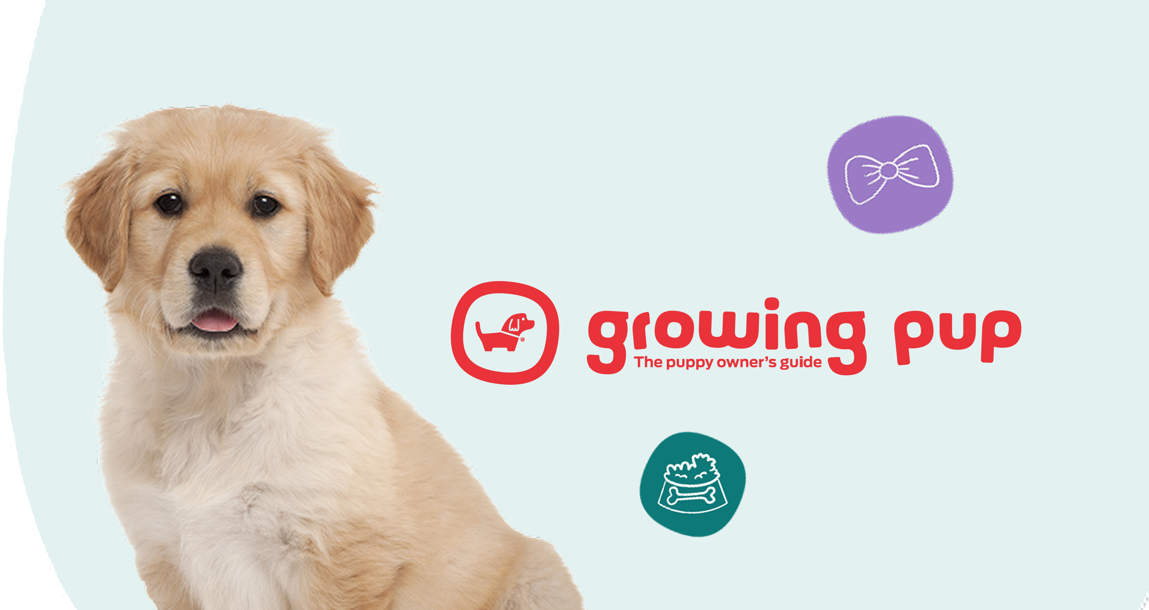 Growing Pup dog