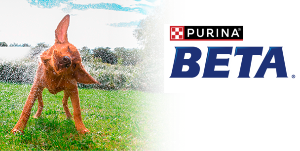 beta