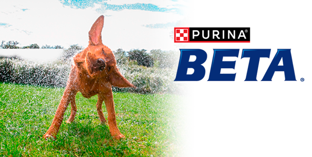 beta