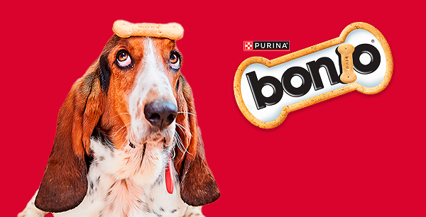 bonio