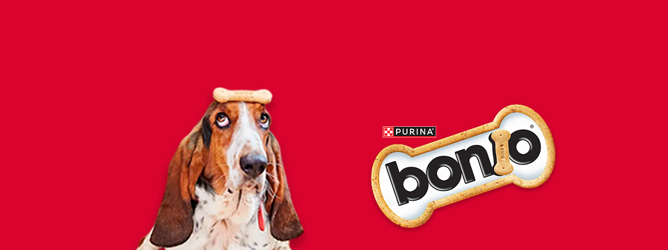 bonio