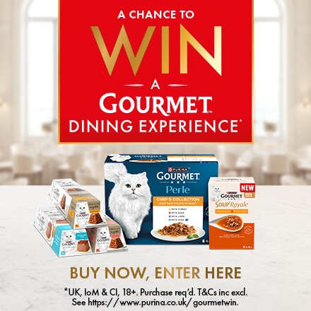 Gourmet Win banner