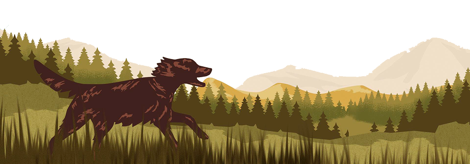 adventuros