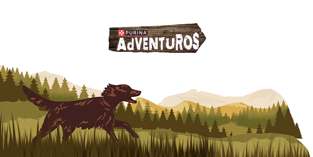 adventuros