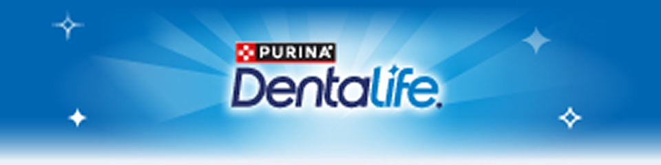 dentalife