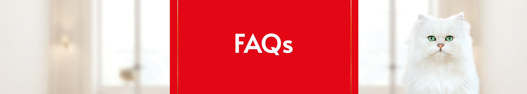 FAQs