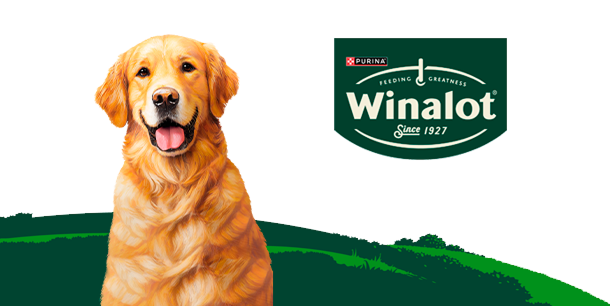 winalot