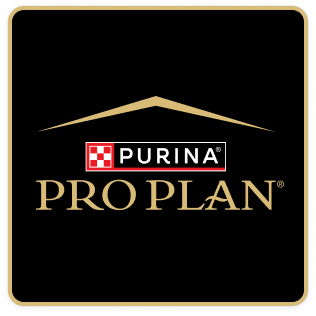 PRO PLAN