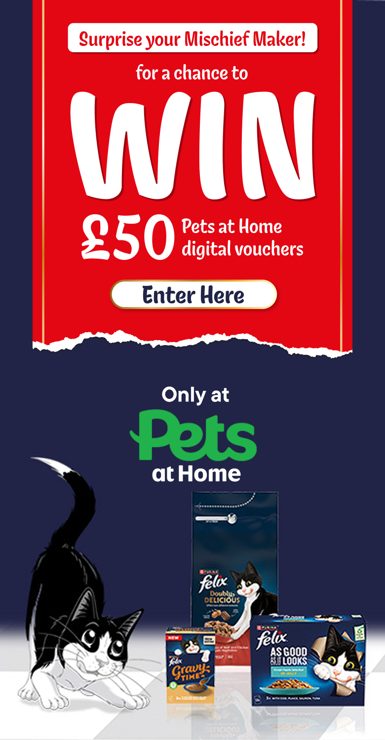 Surprise your Mischief Maker for a chance to WIN* £50 Pets at Home digital vouchers