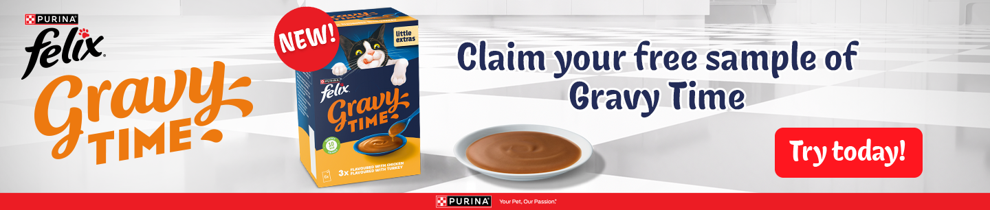 Felix Gravy Time banner