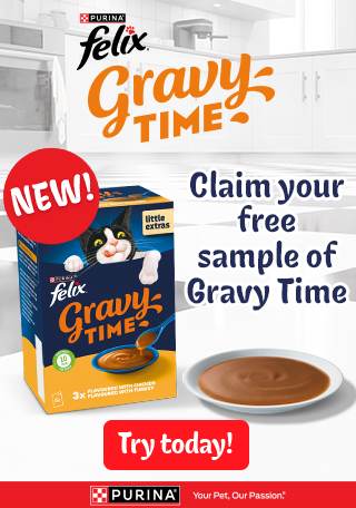 Felix Gravy Time banner