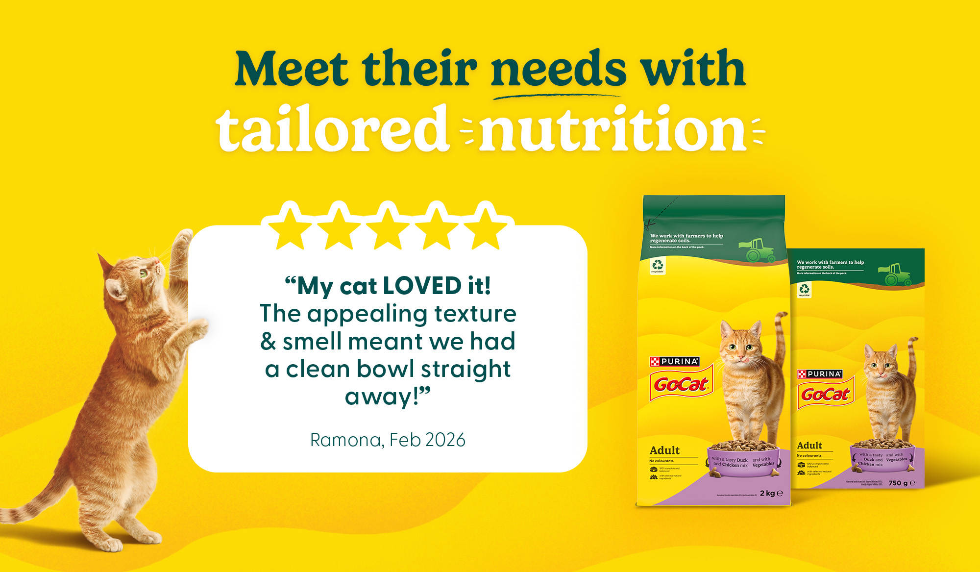 Go-Cat consumer review