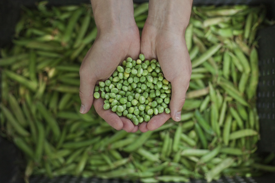 Working towards selecting ingredients carefully