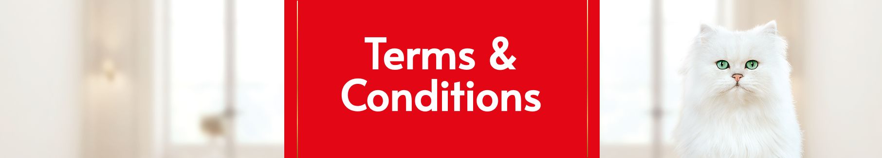 Terms & Conditions