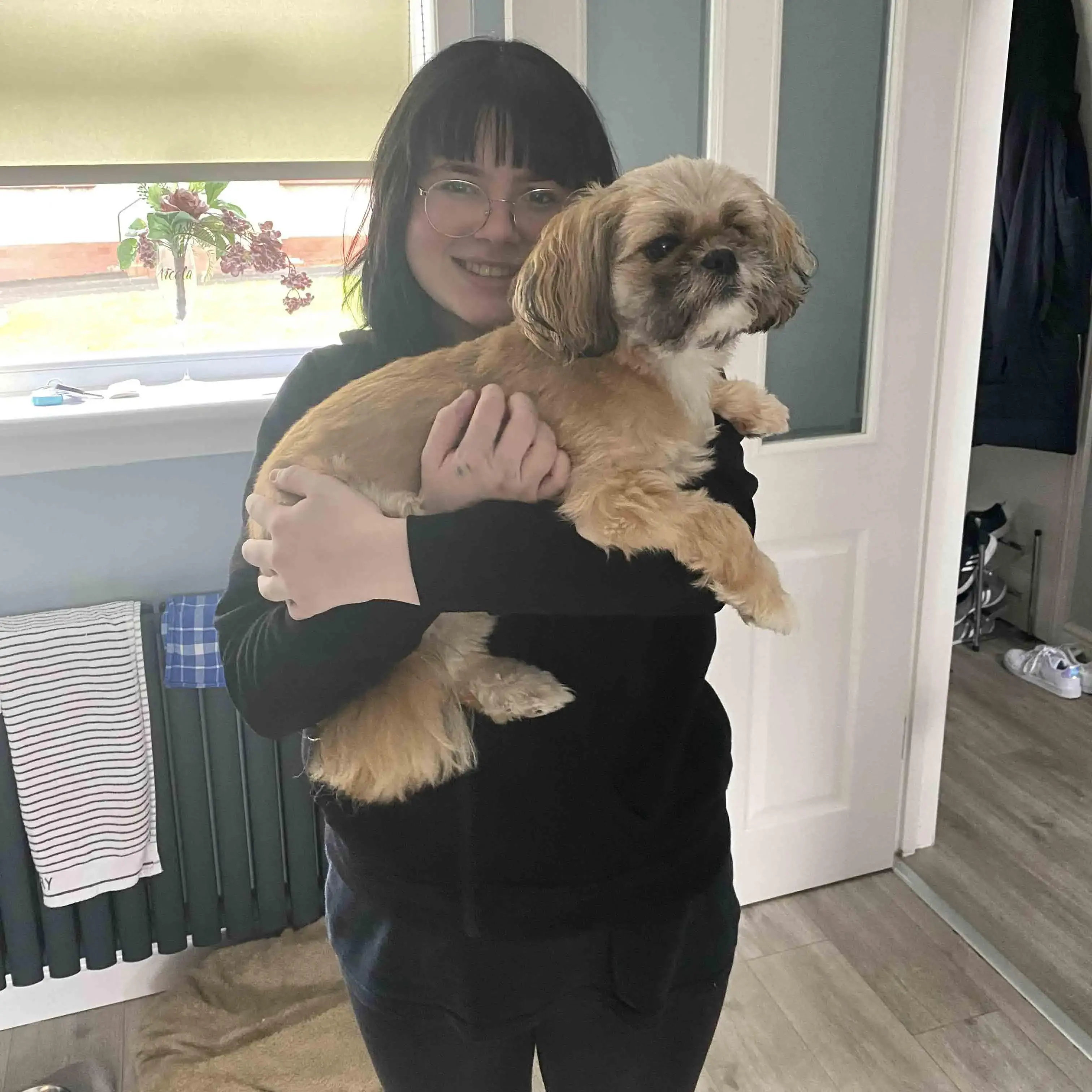 Shih Tzu