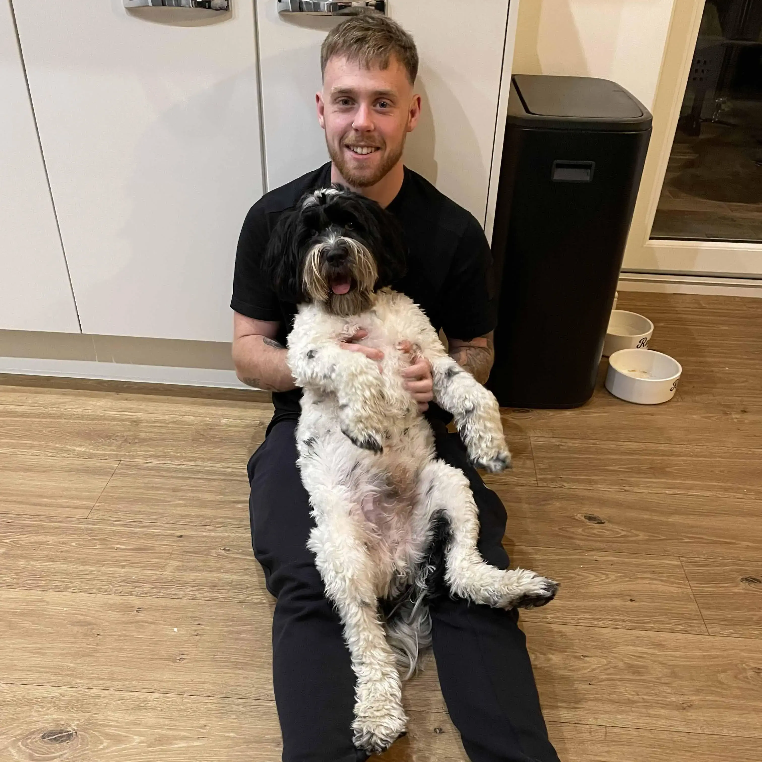 Tibetan Terrier