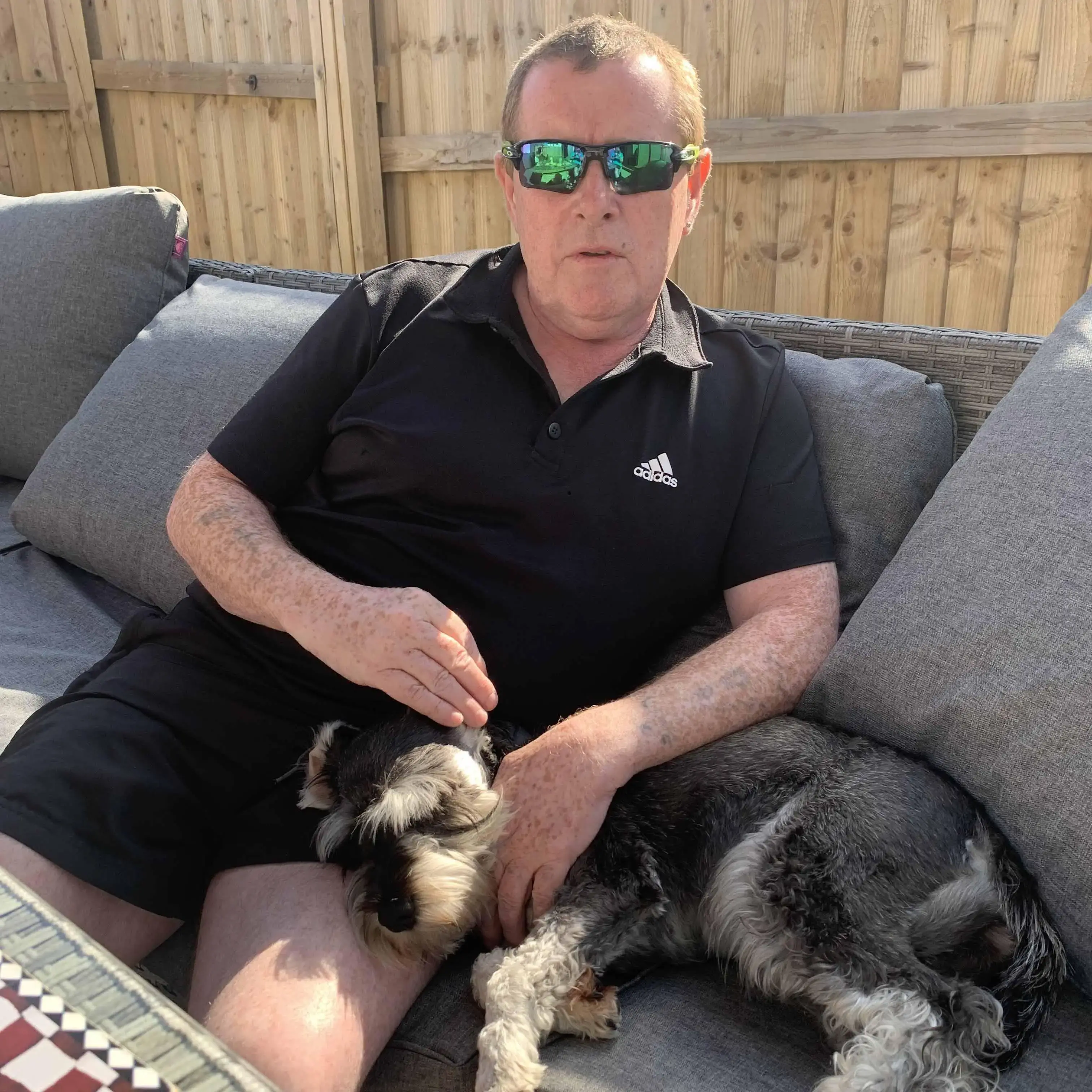 Schnauzer (Miniature)