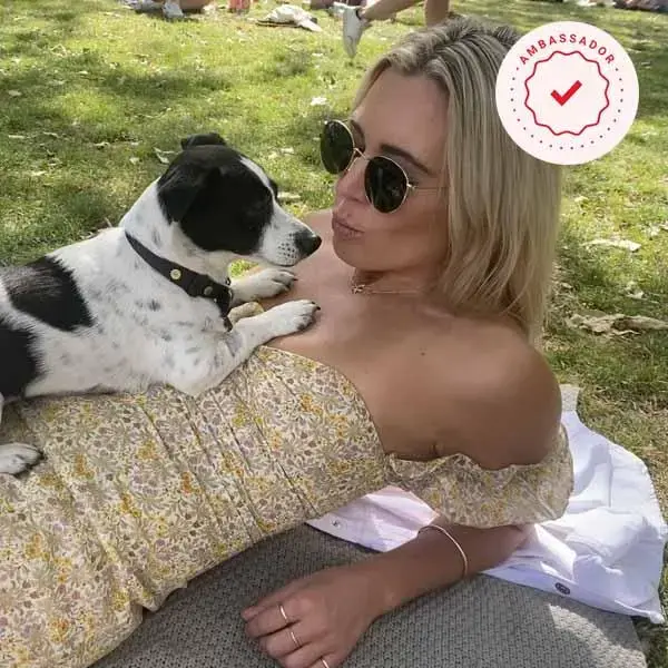 Jack Russell Terrier