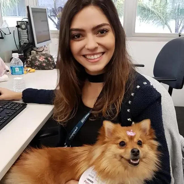 German Spitz Klein