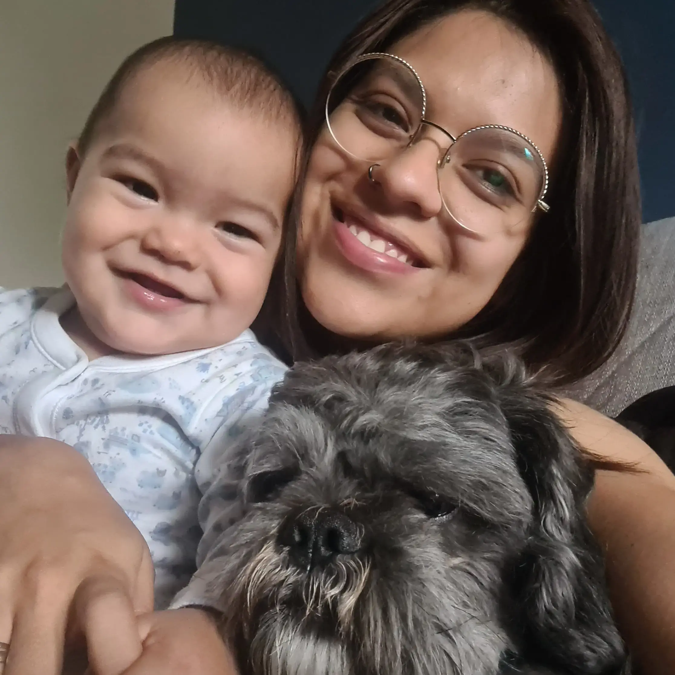 Shih Tzu