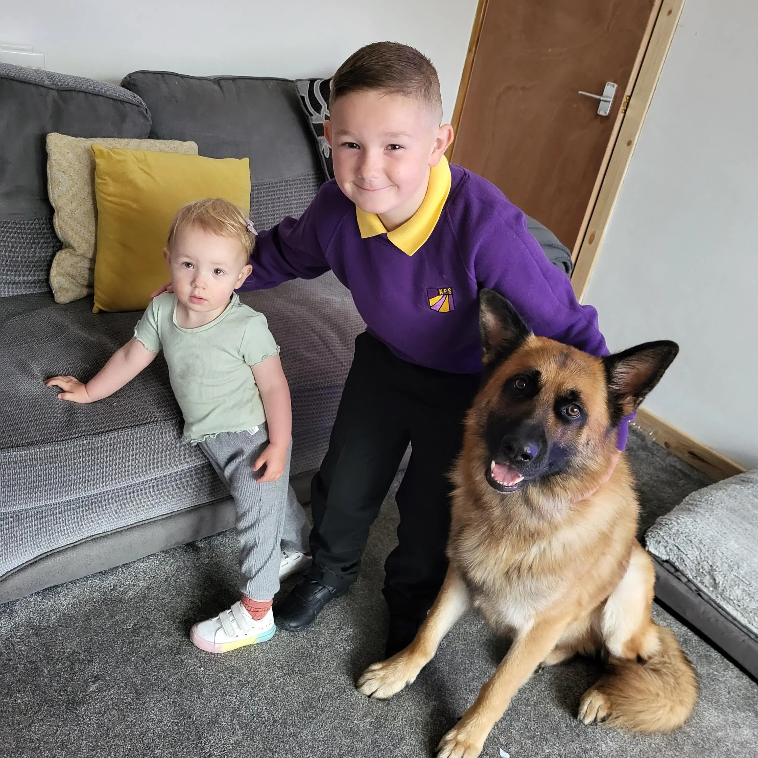 German Shepherd Dog