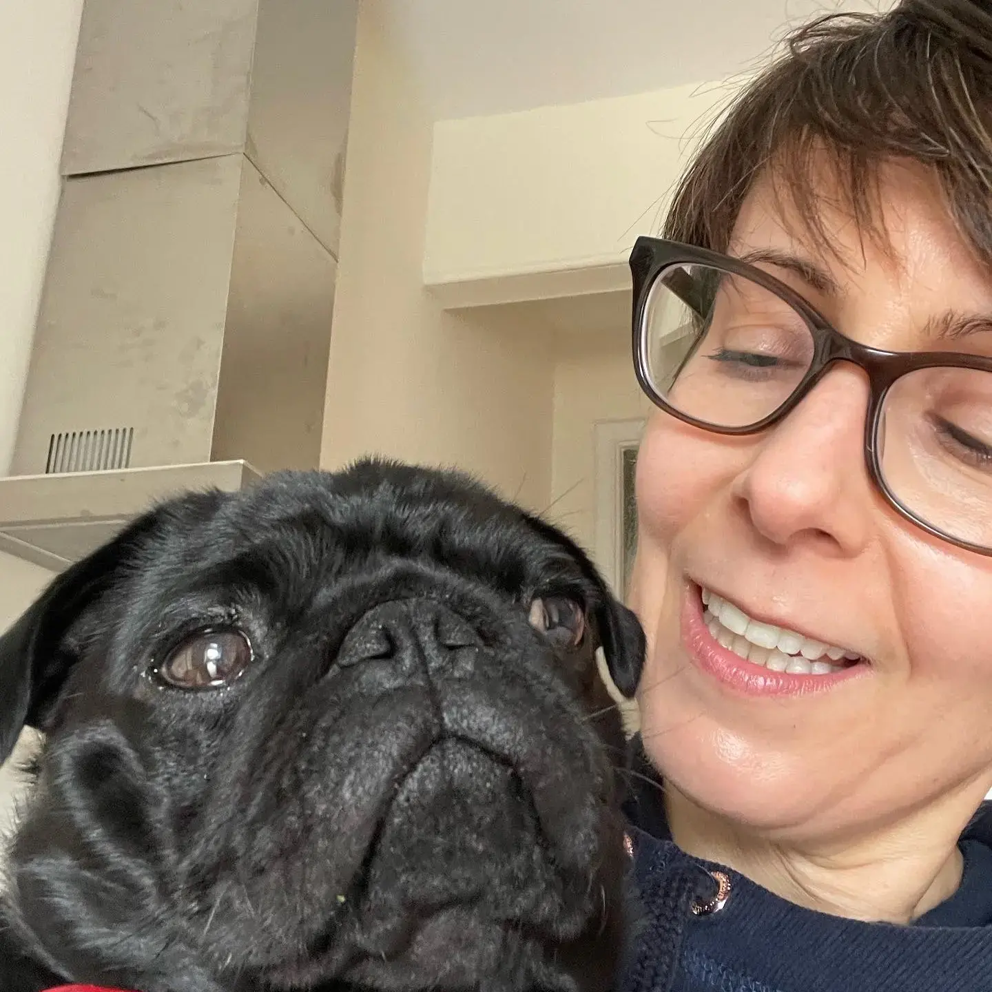 Pug