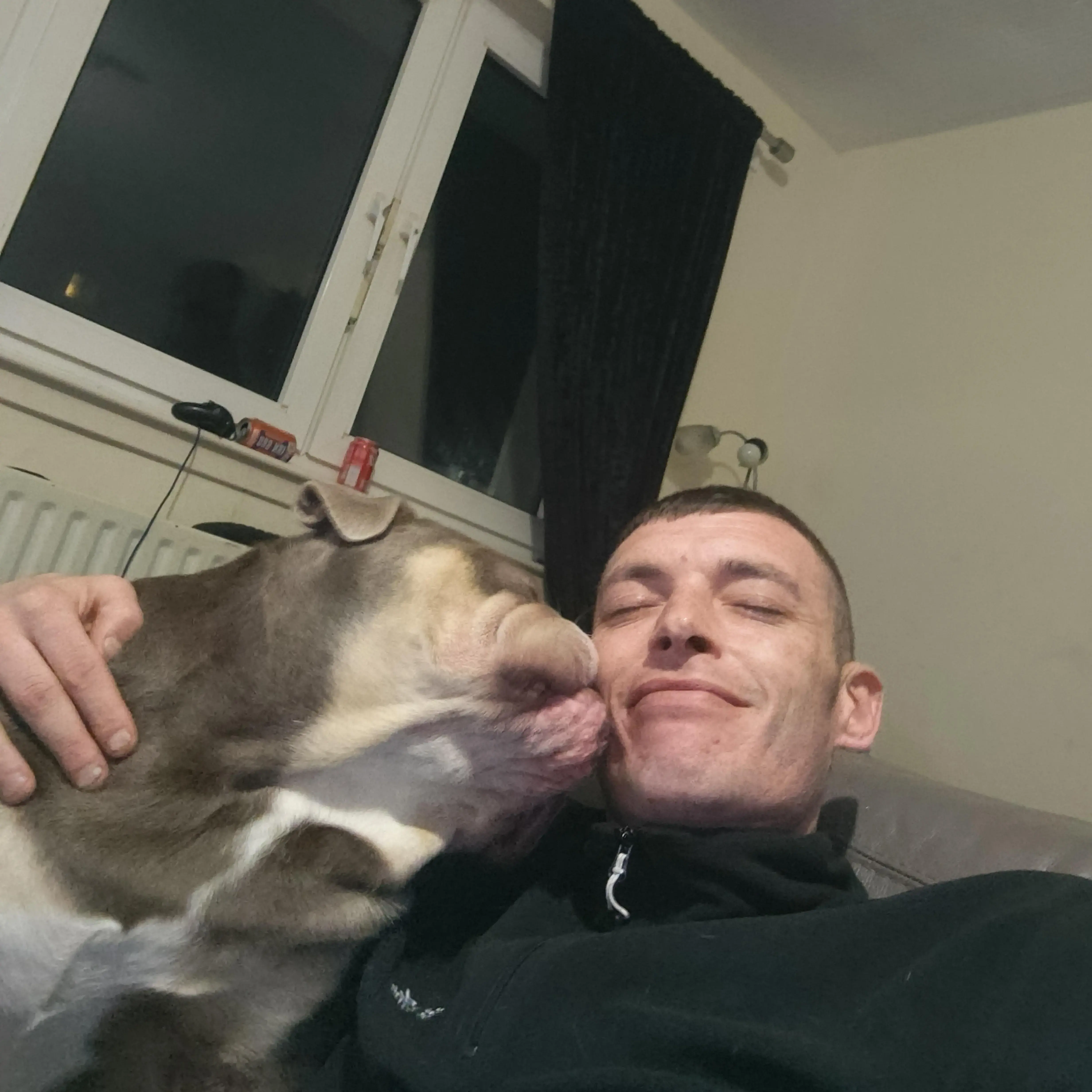 Bulldog