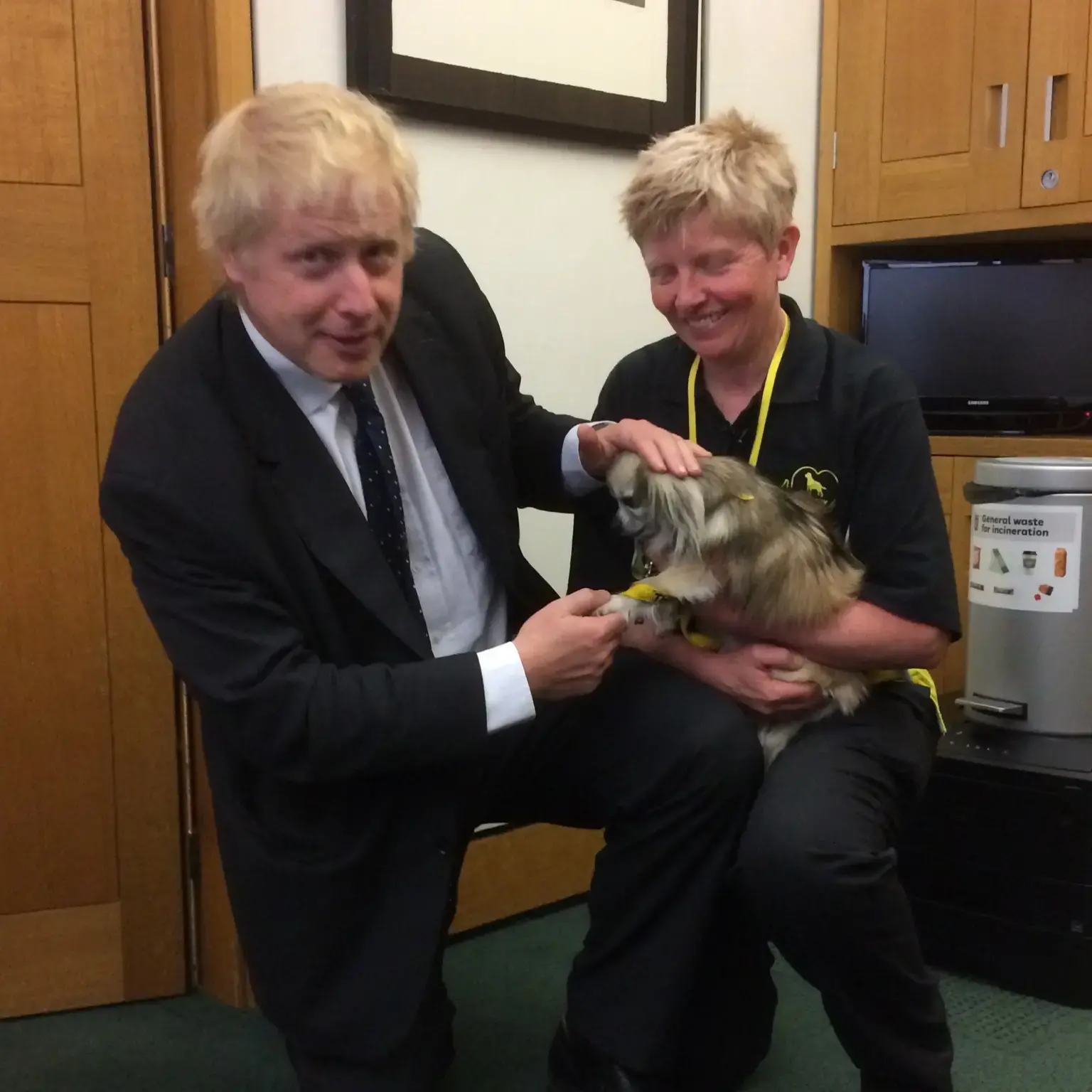 Chihuahua (Long Coat)