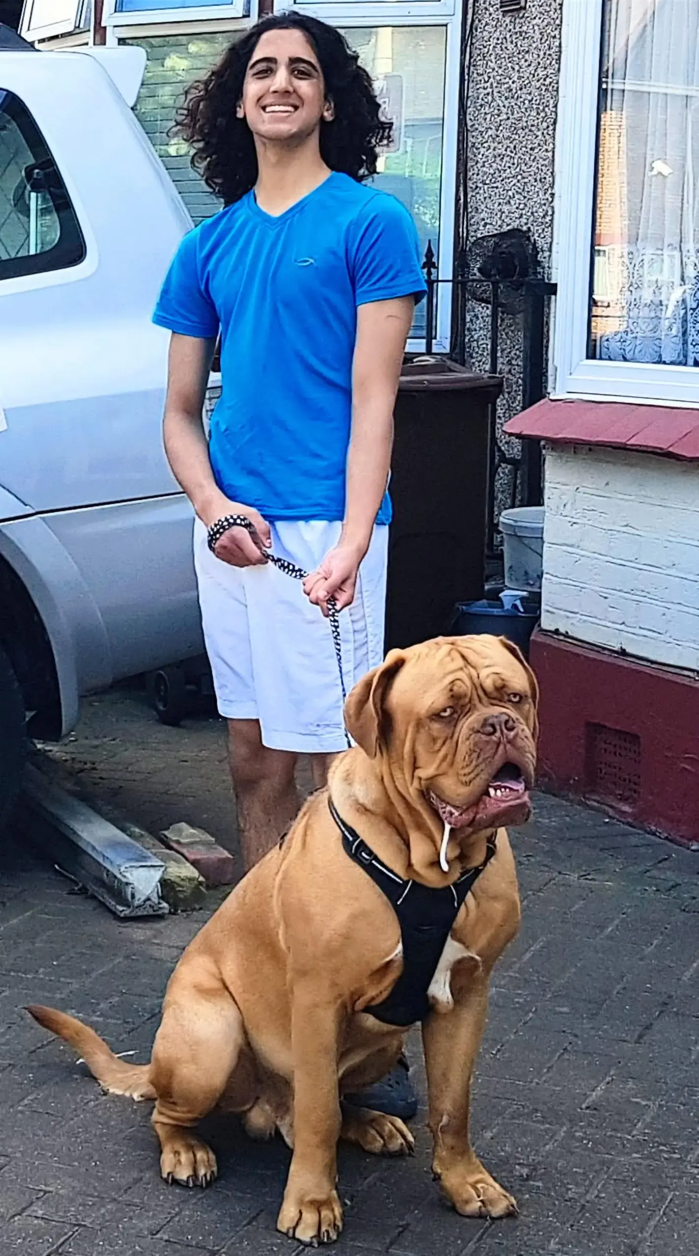 Dogue de Bordeaux