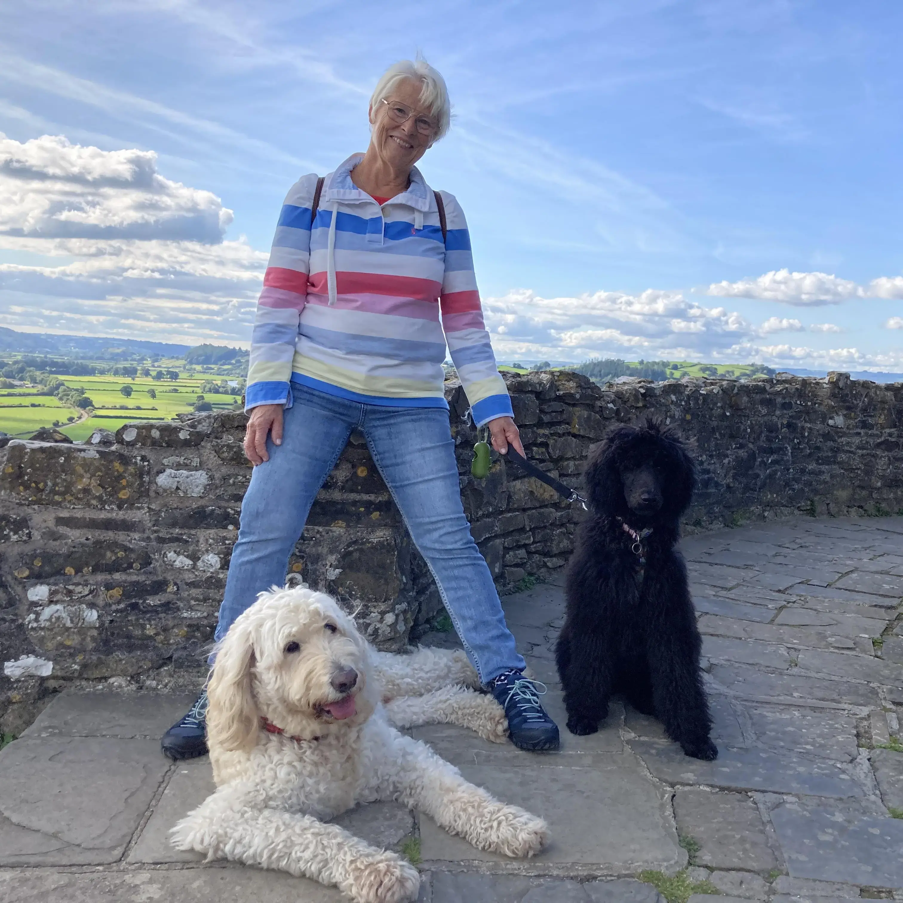 Goldendoodle