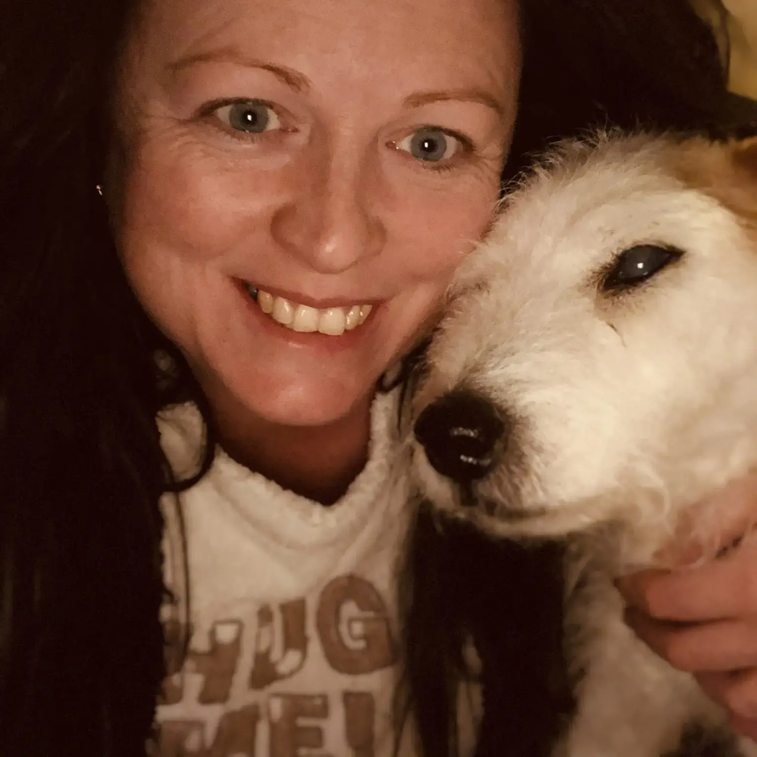 Parson Russell Terrier