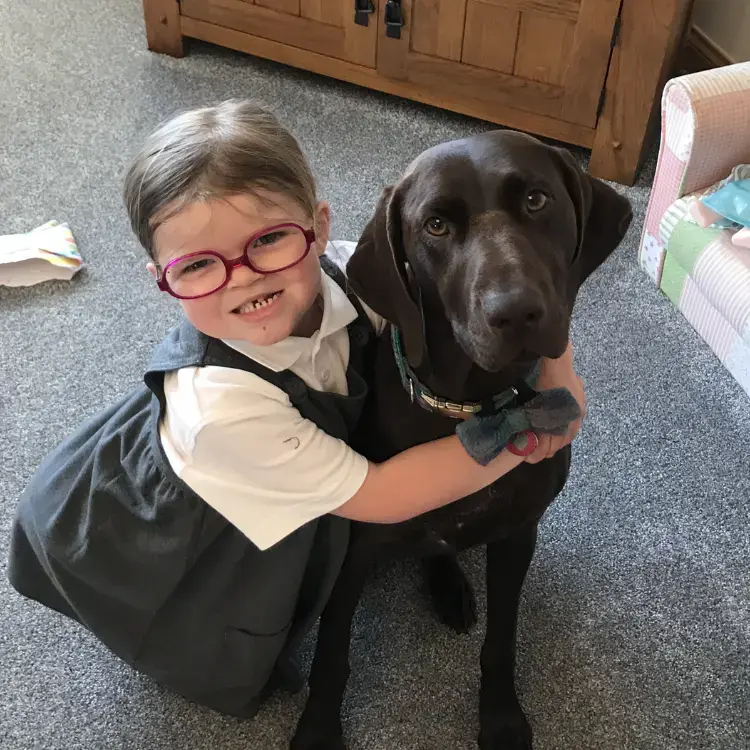 German Short-Haired Pointer