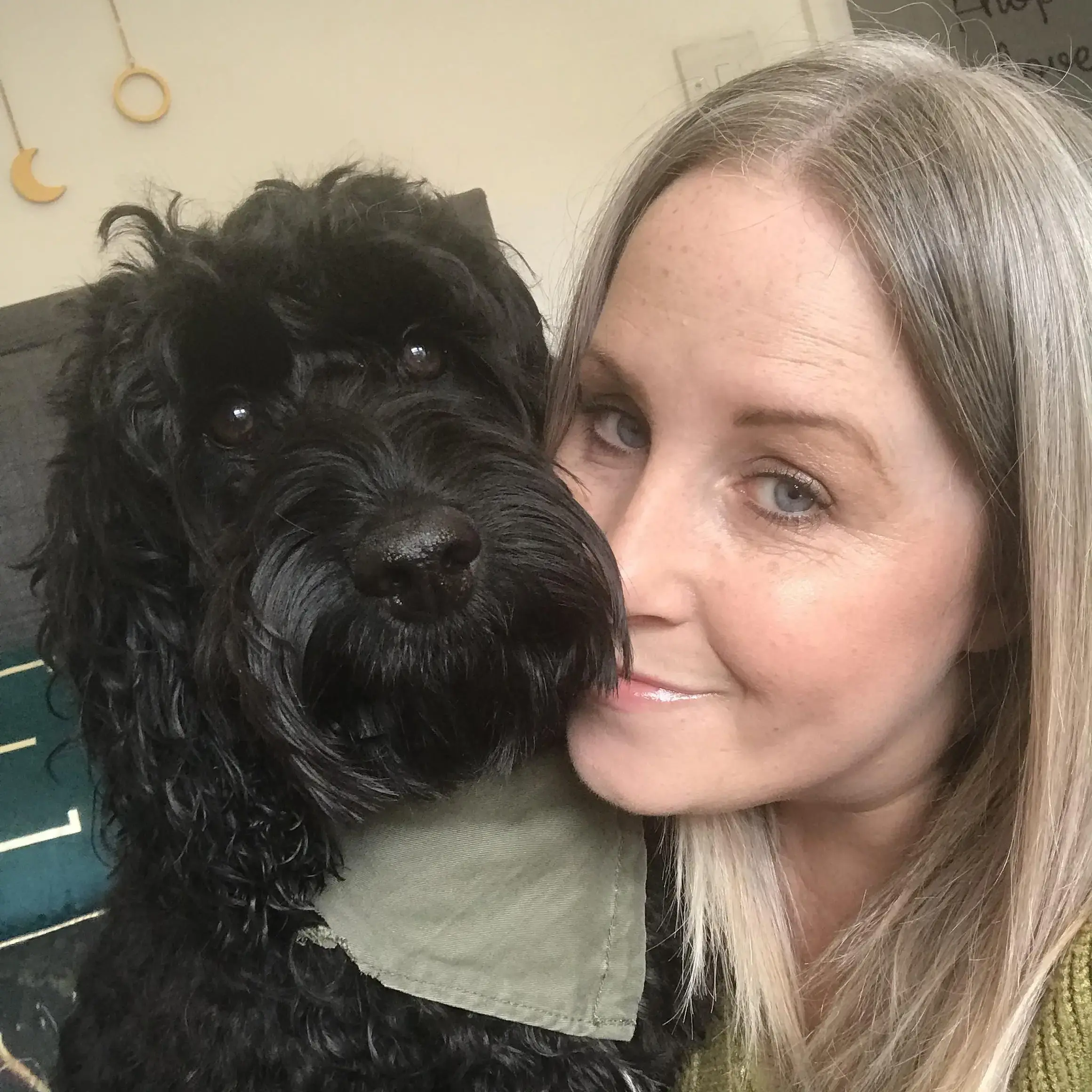 Cockapoo
