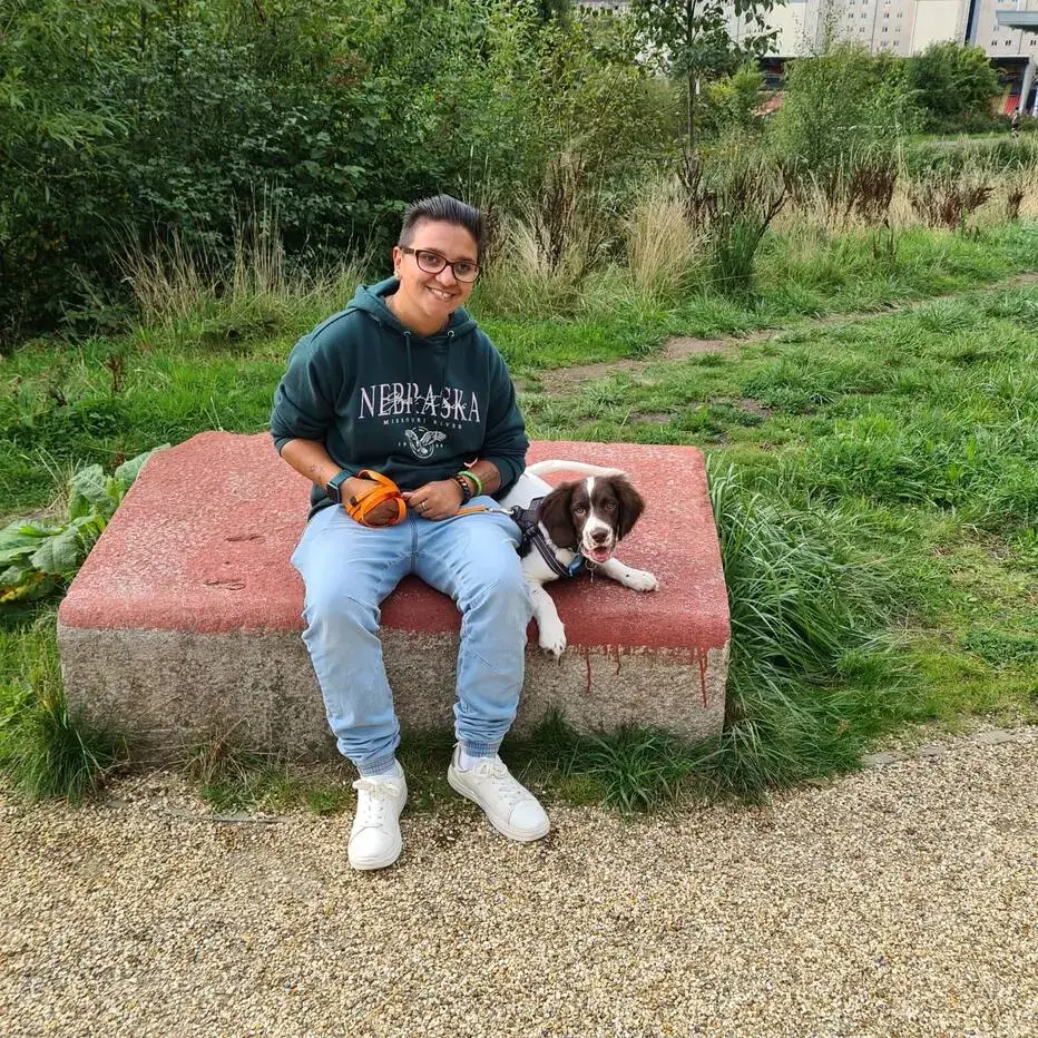 English Springer Spaniel