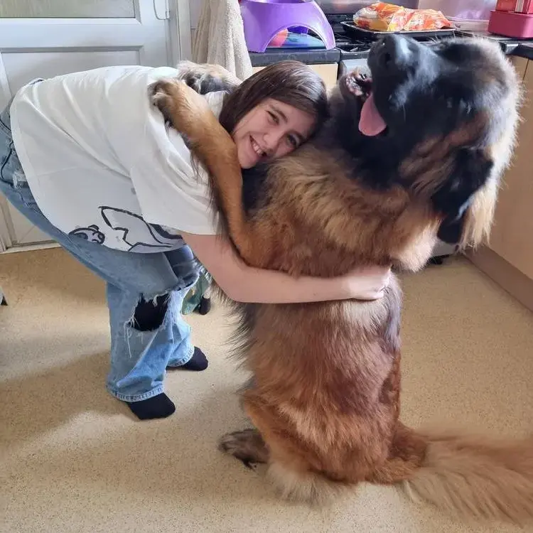 Leonberger