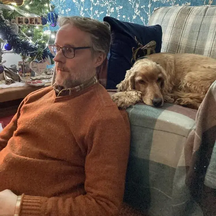 Cocker Spaniel (English)