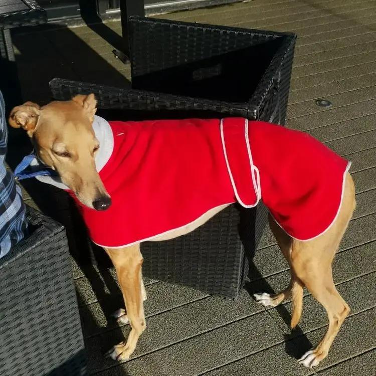 Lurcher