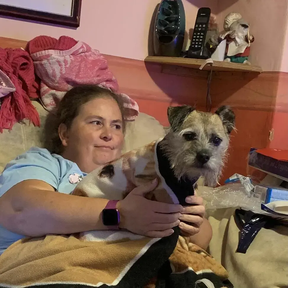 Border Terrier