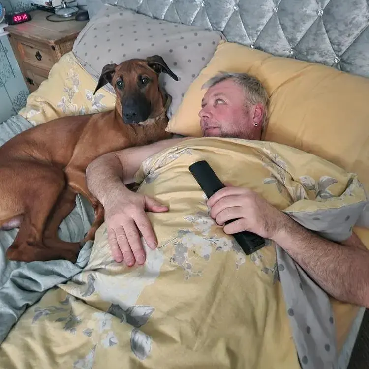 Belgian Shepherd Dog Malinois