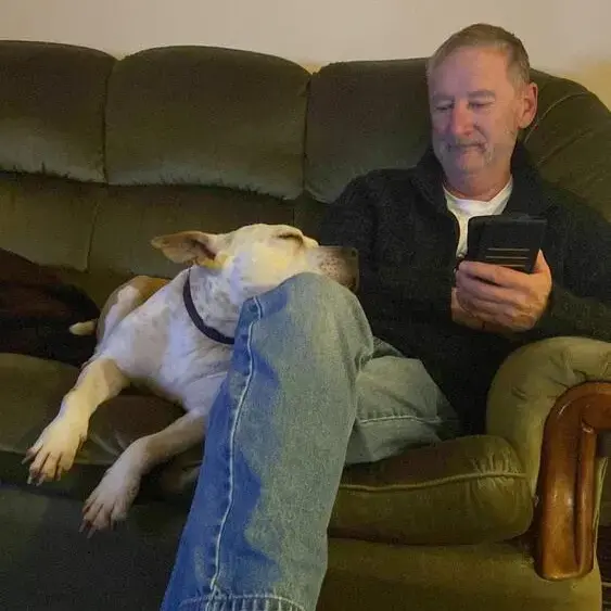 Staffordshire Bull Terrier